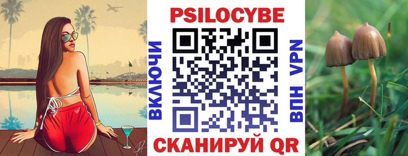 Псилоцибиновые грибы GOLDEN TEACHER  Камызяк 